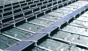  Plantex Platanium SOLAR 5x50m